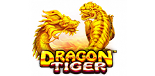 Dragon X Tiger