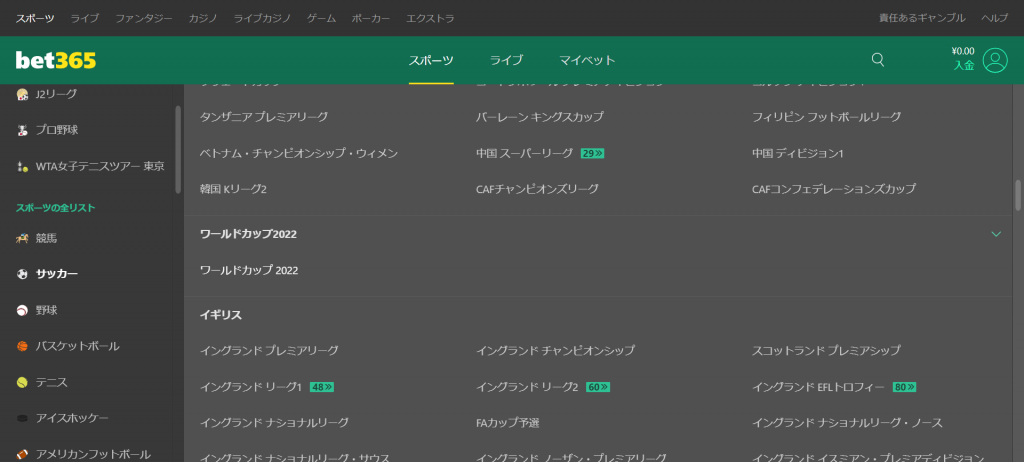 下にスクロールしていくと「ワールドカップ2022」があるのでクリックします