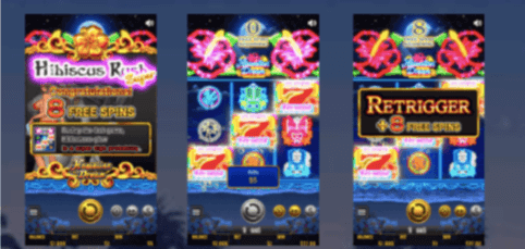 スーパーハイビスカスRUSH